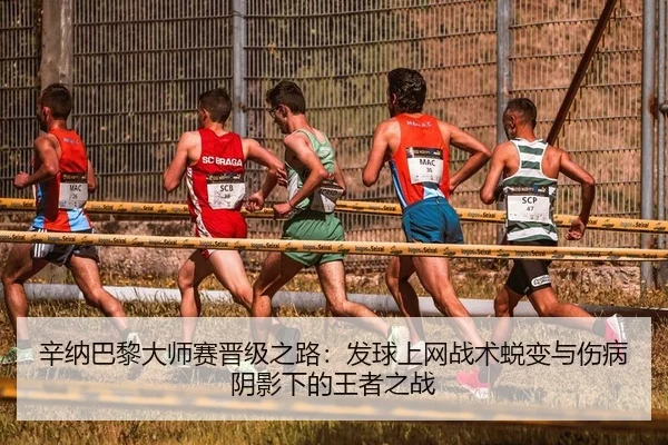 xin-na-ba-li-da-shi-sai-jin-ji-zhi-lu-fa-qiu-shang-wang-zhan-shu-tui-bian-yu-shang-bing-yin-ying-xia-de-wang-zhe-zhi-2-874.jpg